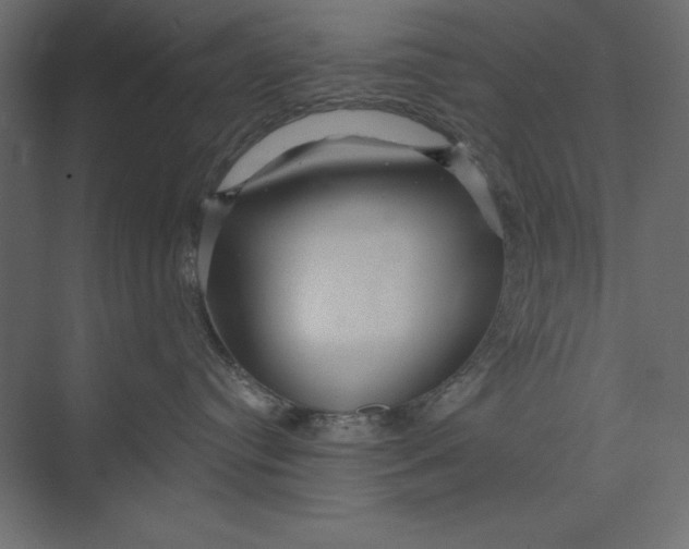 X0000073420384200608181127