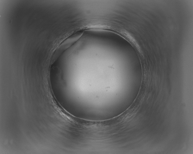 X0000073420385200608181127