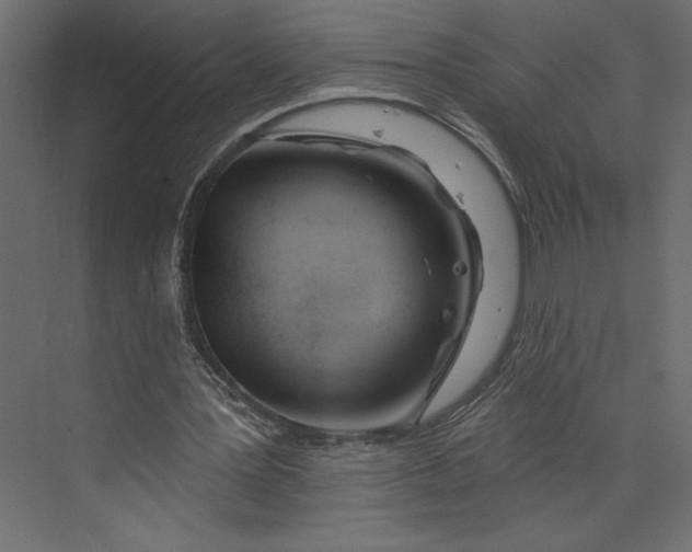 X0000073420387200608181127