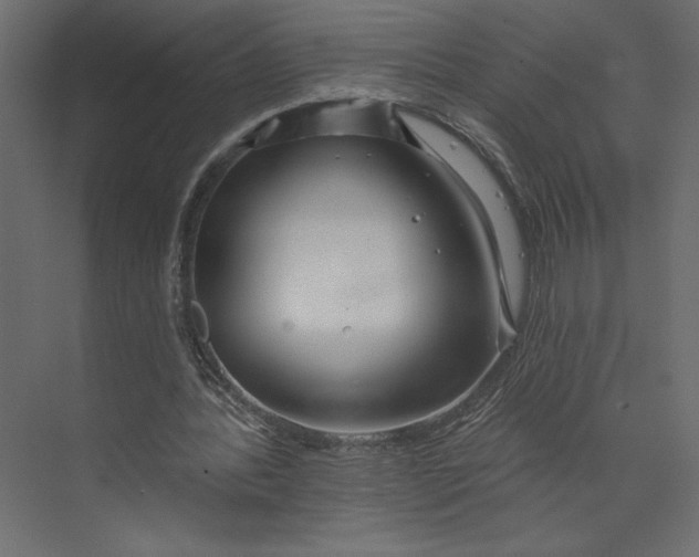 X0000073420388200608181126