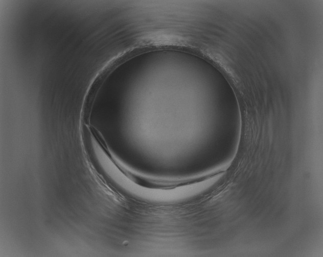 X0000073420391200608181126