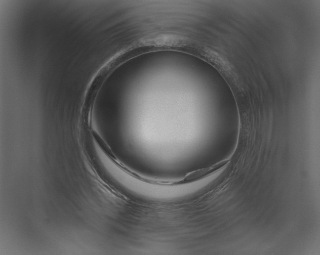 X0000073420392200608181126