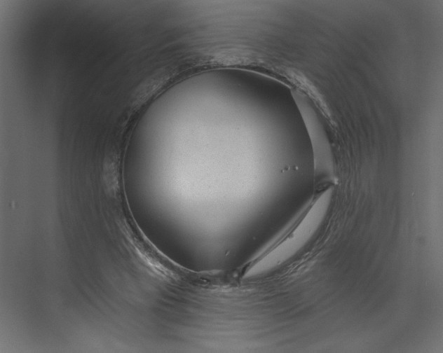 X0000073420393200608181126