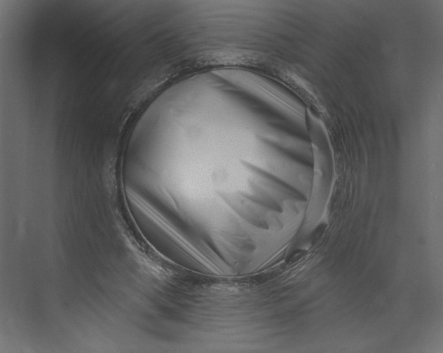 X0000073420394200608181126