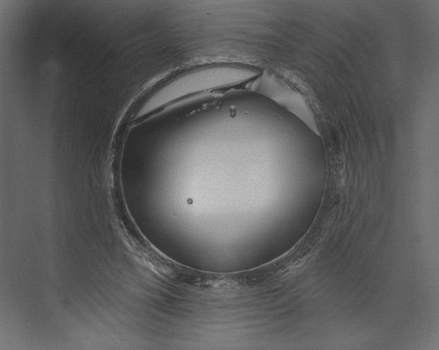 X0000073420395200608181126