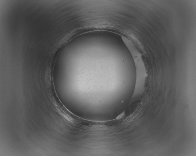 X0000073420397200608181126