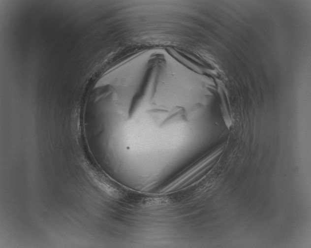 X0000073420398200608181126