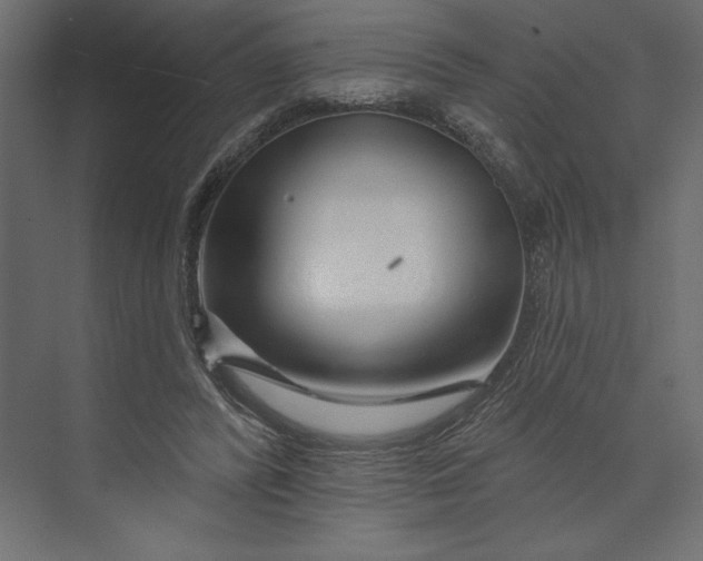 X0000073420400200608181126