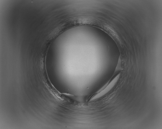 X0000073420401200608181126