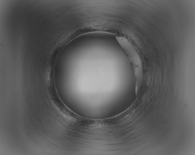 X0000073420404200608181126