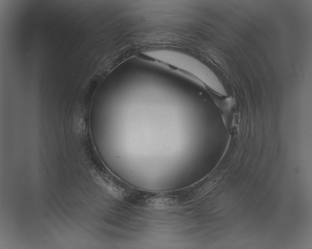 X0000073420408200608181126