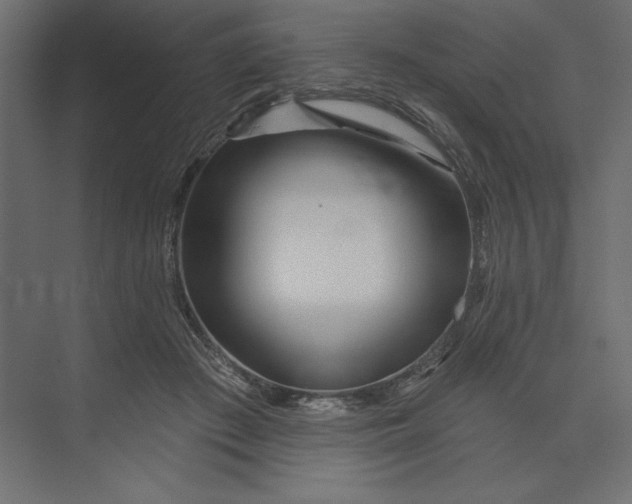 X0000073420409200608181126