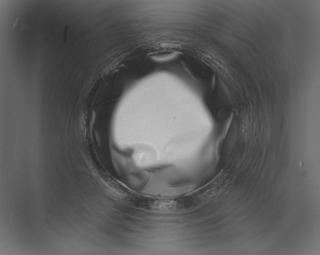 X0000073420410200608181126