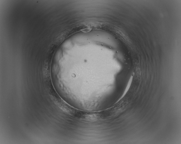 X0000073420411200608181126