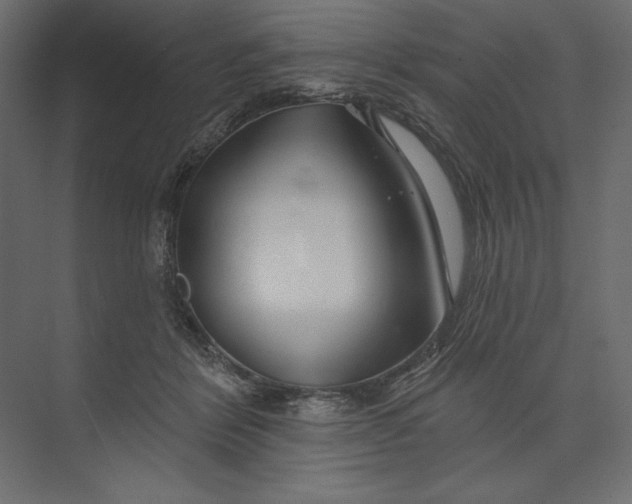 X0000073420412200608181126