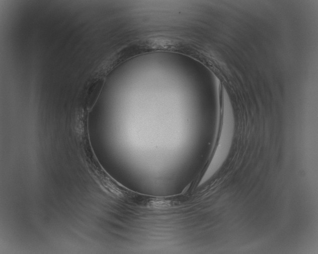 X0000073420413200608181126