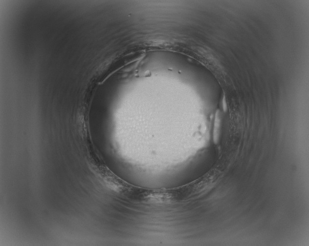 X0000073420415200608181126