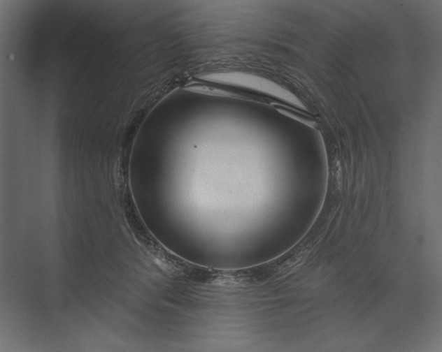 X0000073420416200608181126