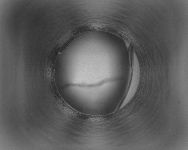 X0000073420417200608181126