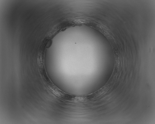 X0000073420418200608181126