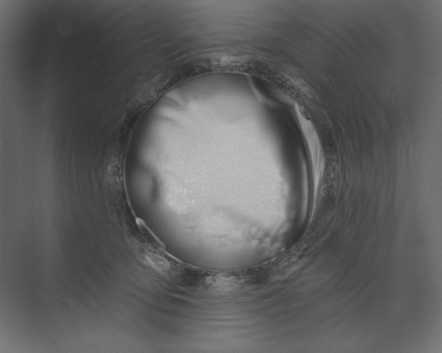 X0000073420419200608181126