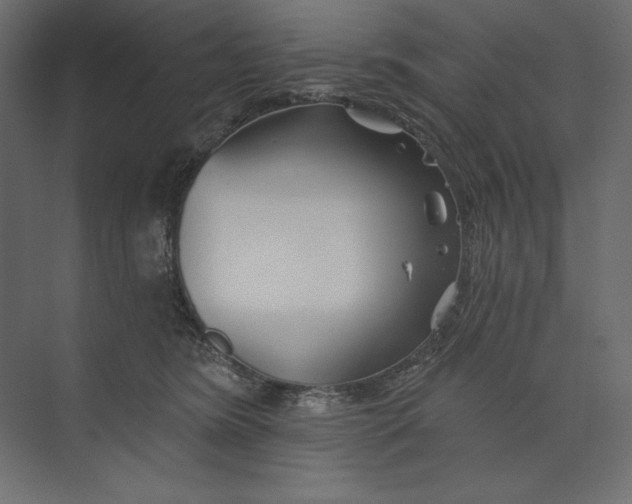 X0000073420420200608181126