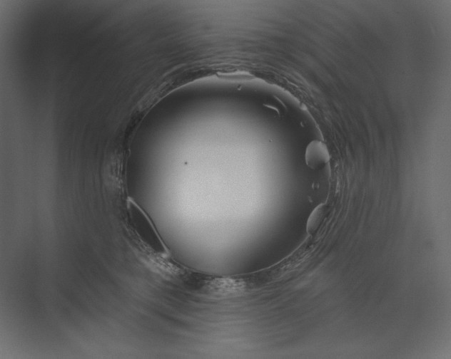 X0000073420421200608181126