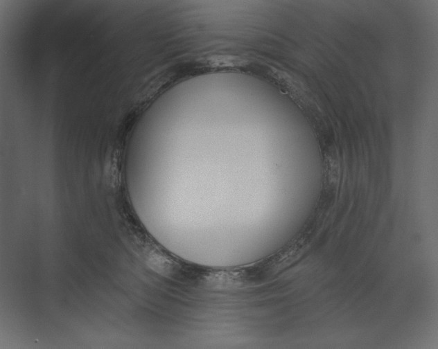 X0000073420422200608181126