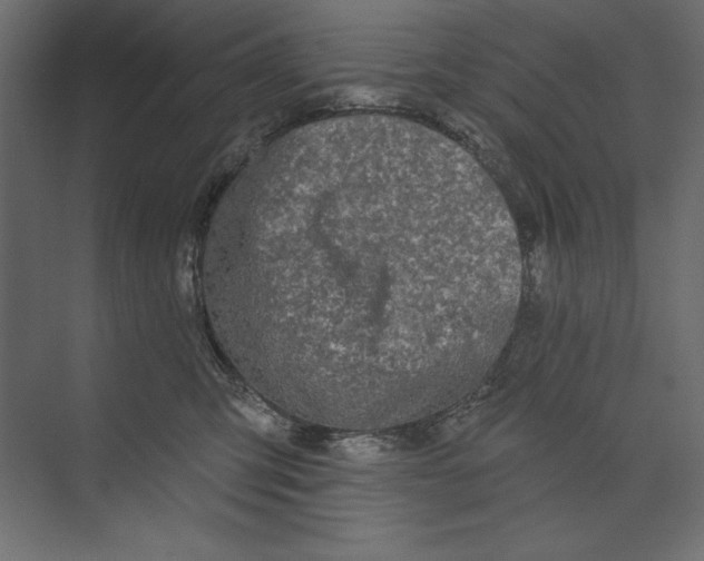 X0000073420423200608181126