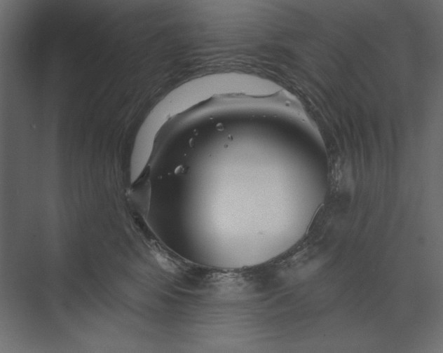 X0000073420424200608181126