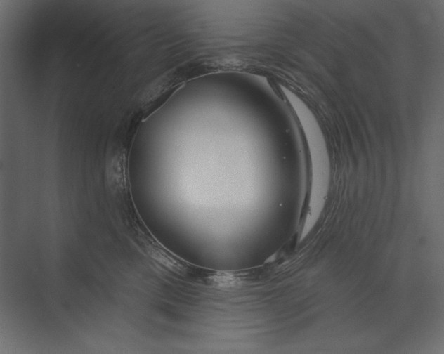 X0000073420425200608181126