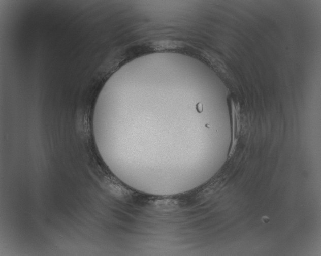 X0000073420426200608181126