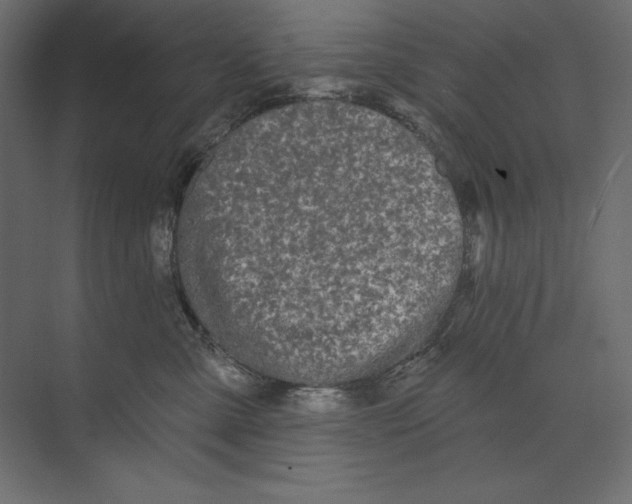 X0000073420427200608181126