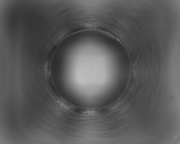 X0000073420428200608181126