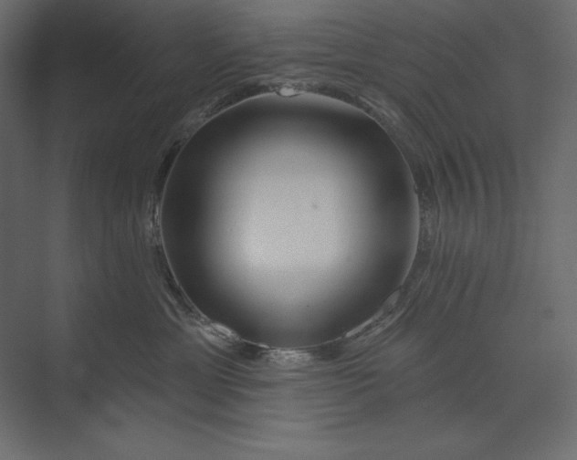 X0000073420429200608181126