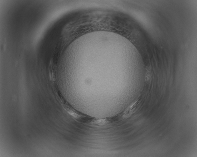 X0000073420431200608181126