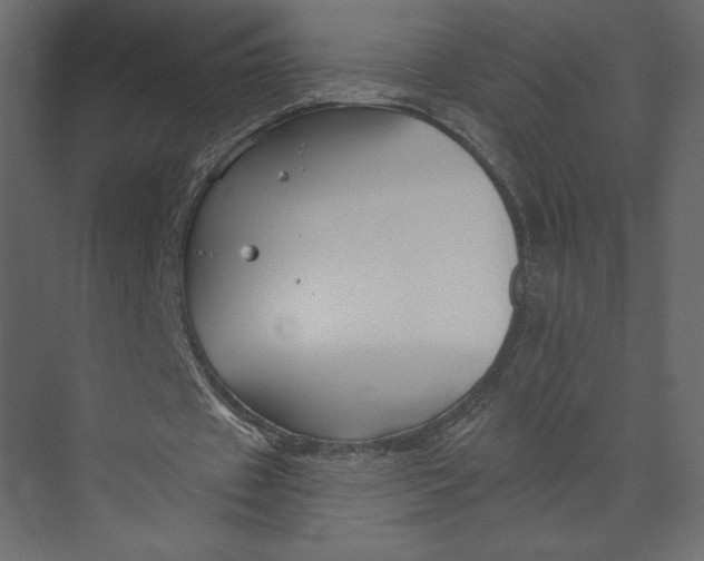 X0000073420433200608181125