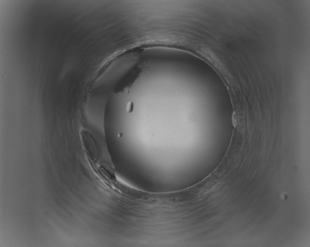 X0000073420434200608181125