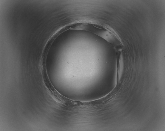 X0000073420436200608181125