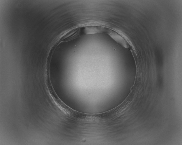 X0000073420437200608181125