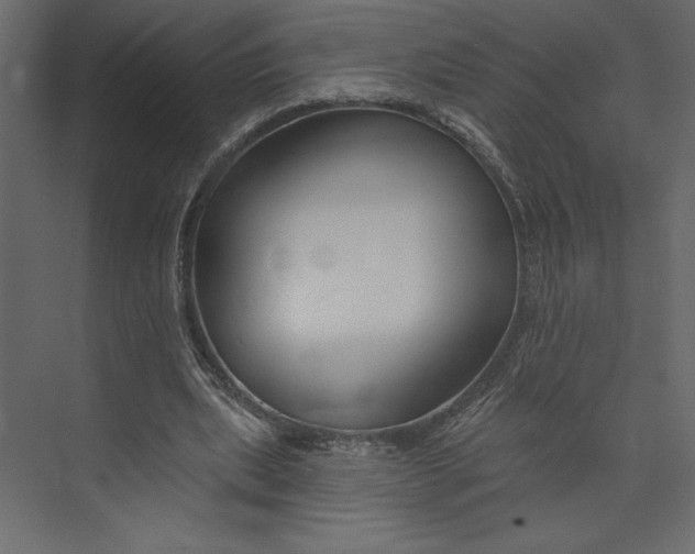 X0000073420439200608181125