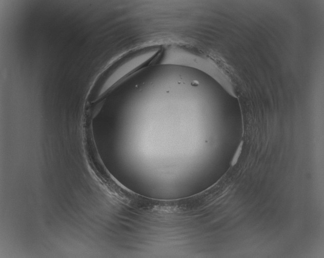 X0000073420440200608181125