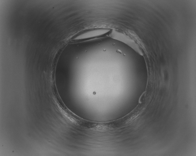 X0000073420441200608181125