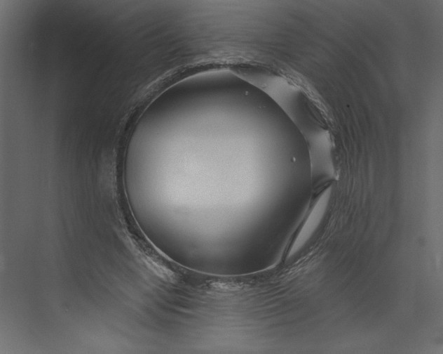 X0000073420442200608181125