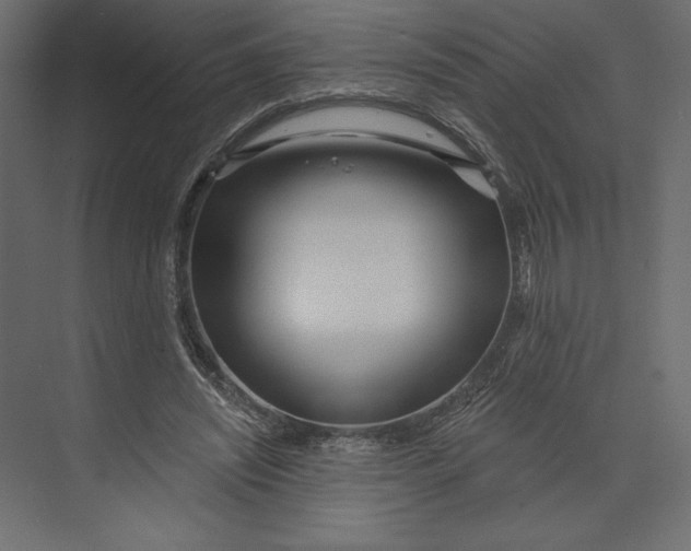 X0000073420444200608181125