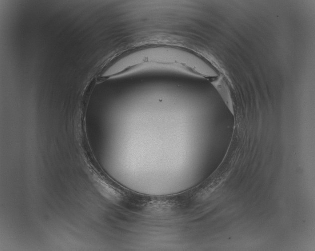 X0000073420445200608181125