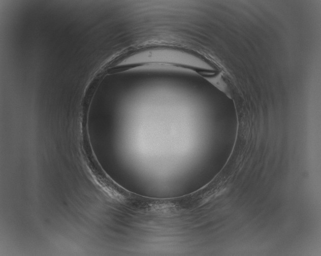 X0000073420446200608181125