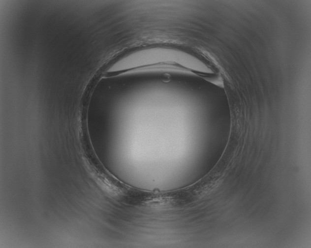 X0000073420447200608181125