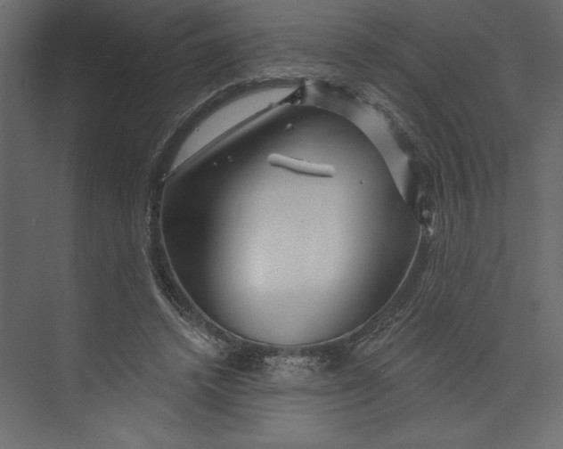 X0000073420448200608181125