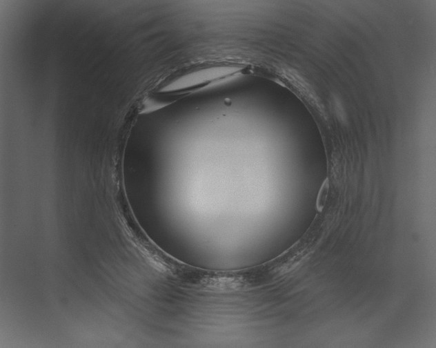 X0000073420449200608181125